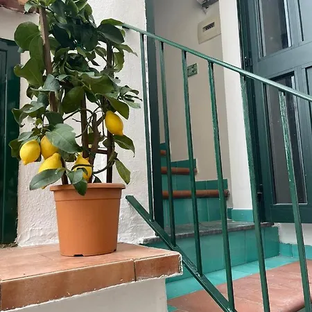 Casa Di Flora Vietri sul Mare